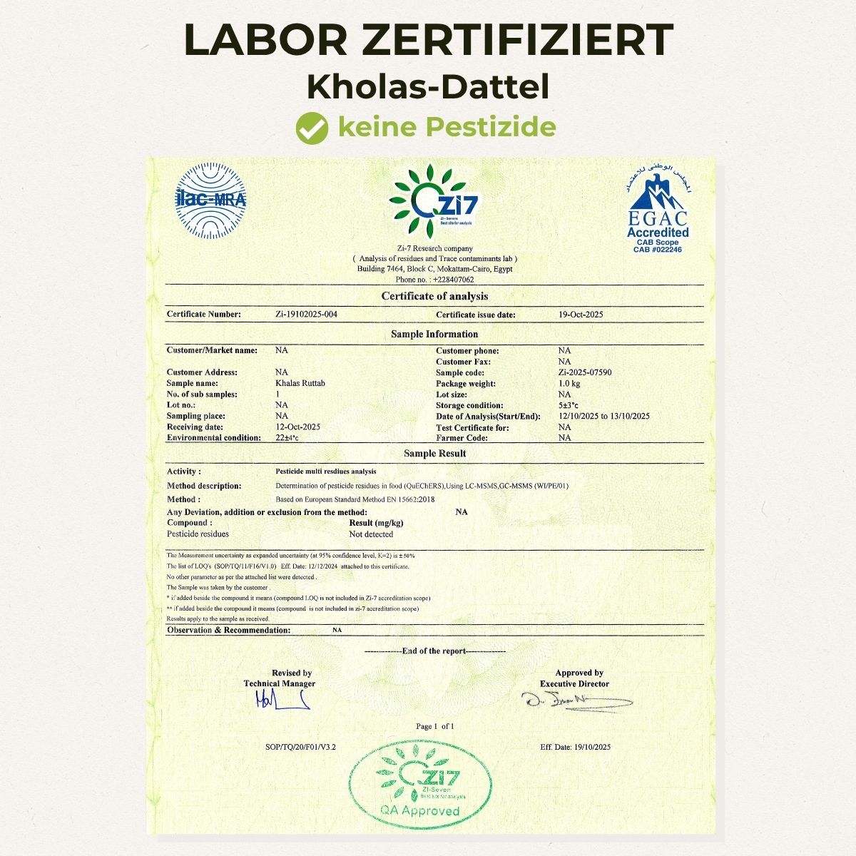 Dattel Kholas frisch und juicy