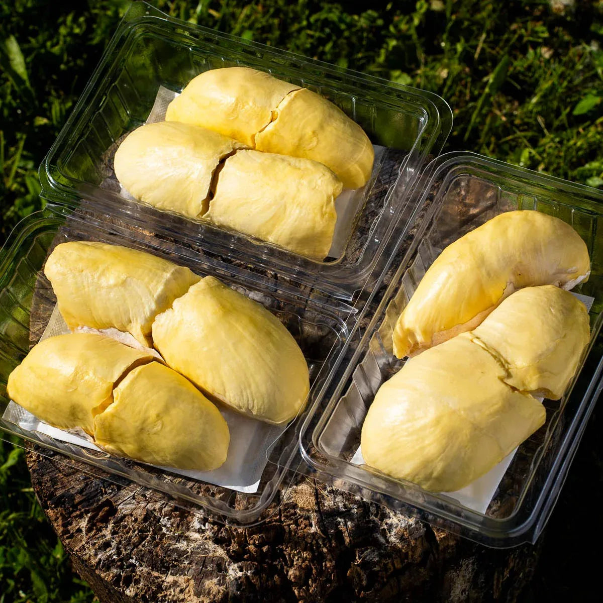 Durian Mon Thong geschält