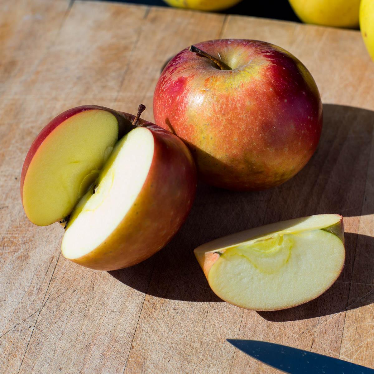 Pomme Dalinette