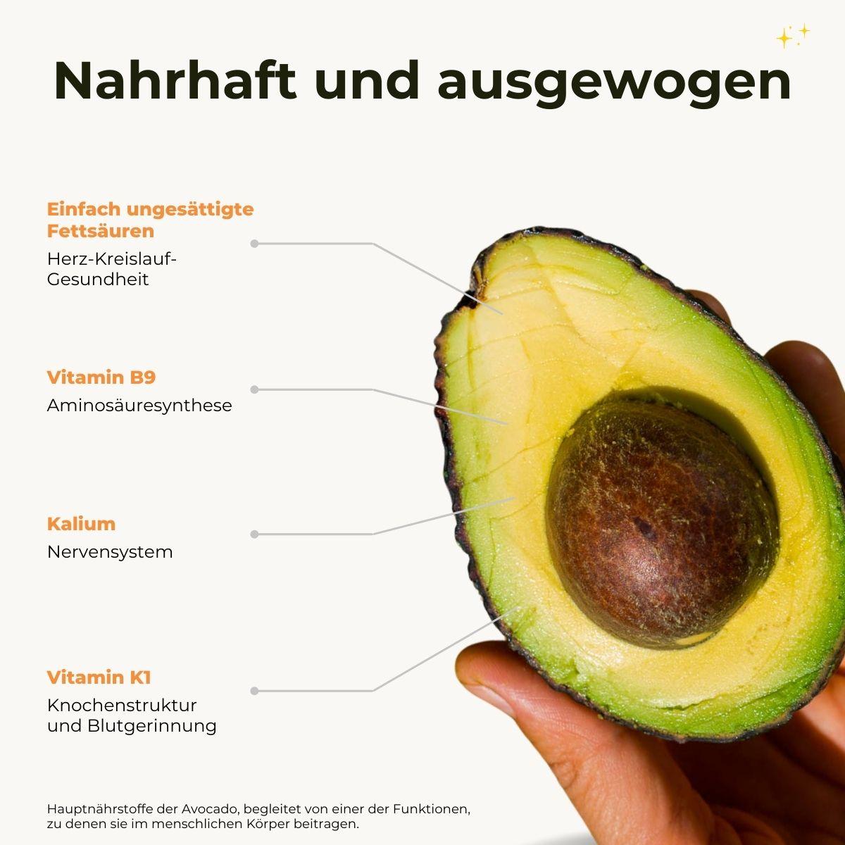 Avocado Hass