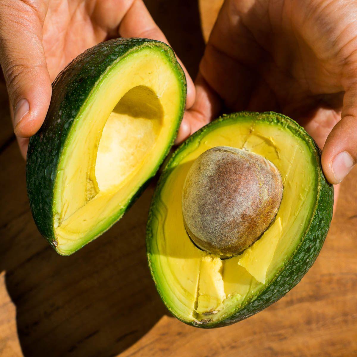 Avocado Reed