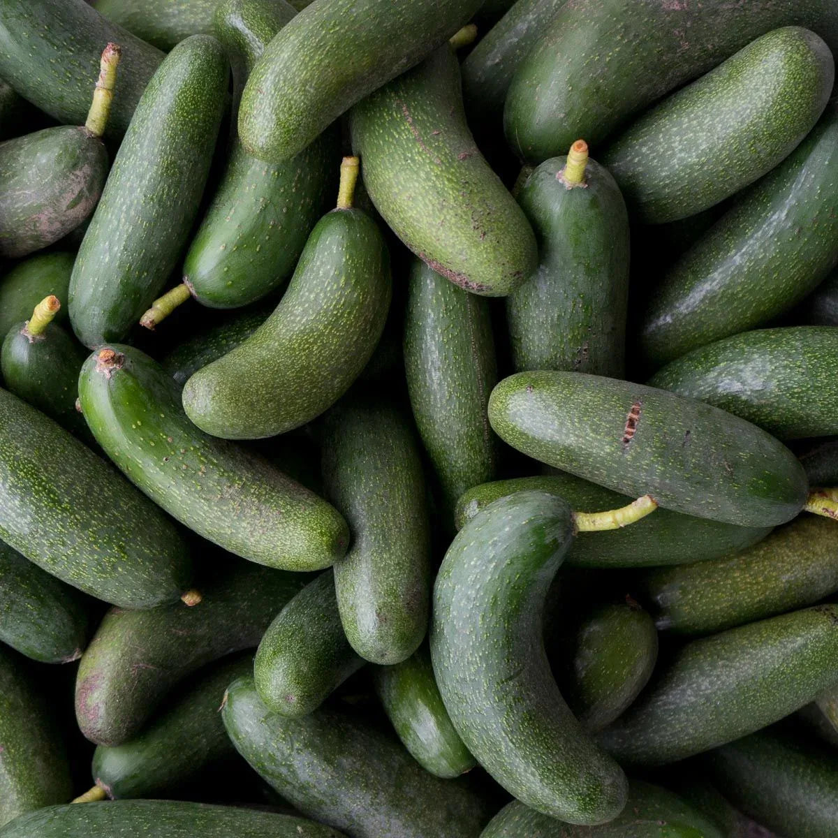 Avocado Cocktail Fuerte