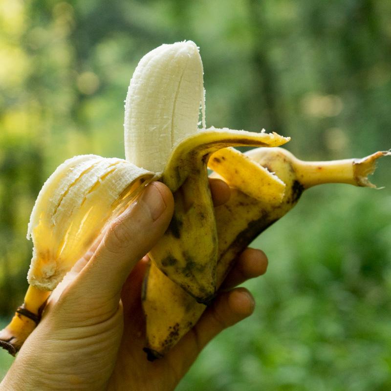 Banane Namwa