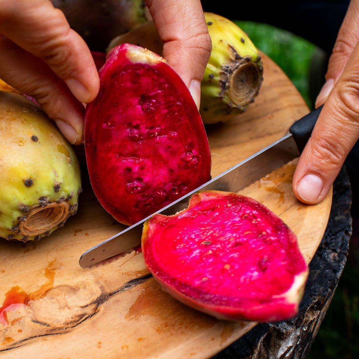 Barbary Fig