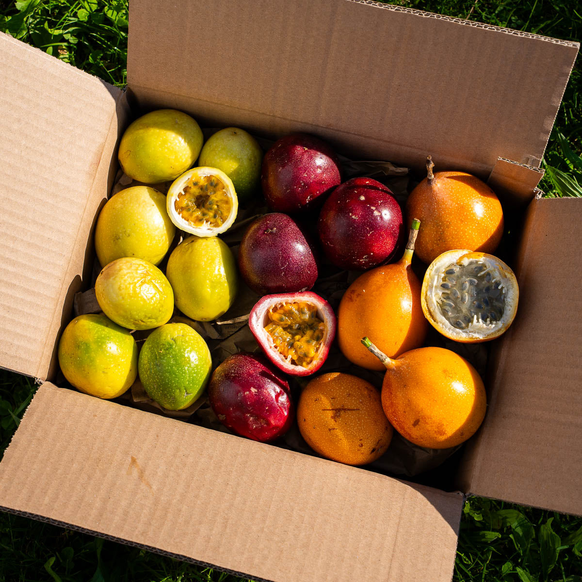 Trio Passionsfrucht