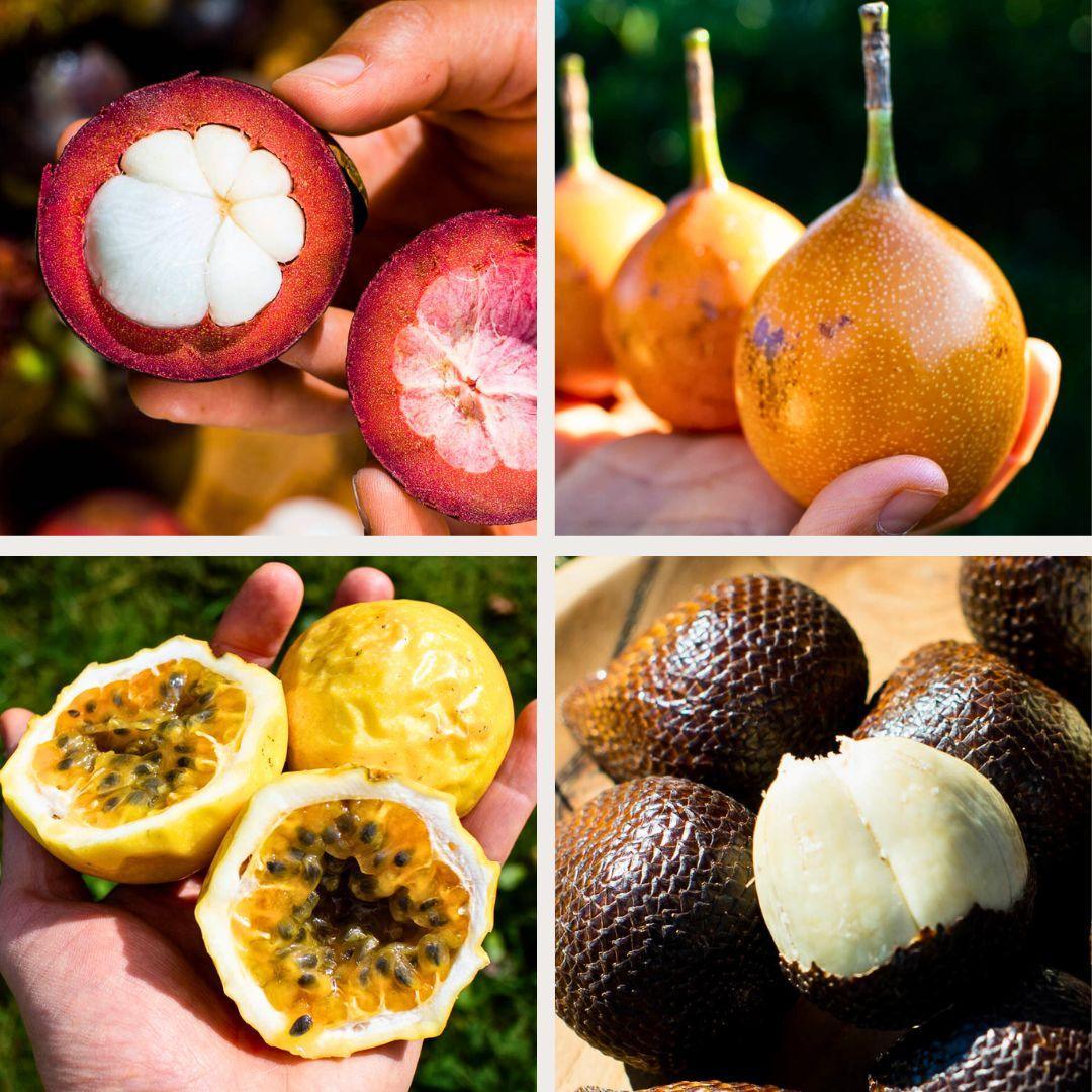 Box 4 small exquisite exotic fruits