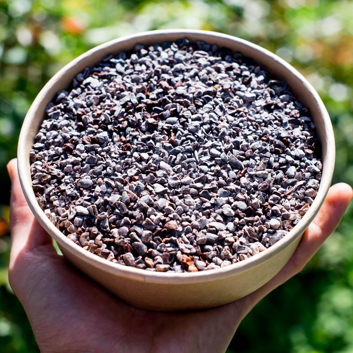 Cacao Nibs (Cocoa Nibs) dried