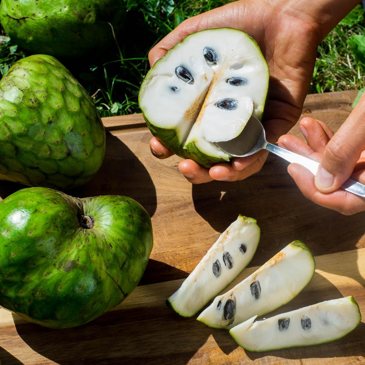 Cherimoya Extra aus Peru