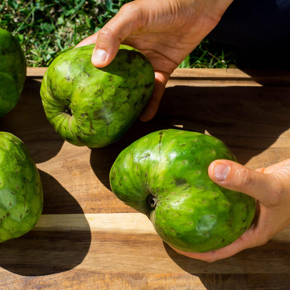 Cherimoya Extra aus Peru