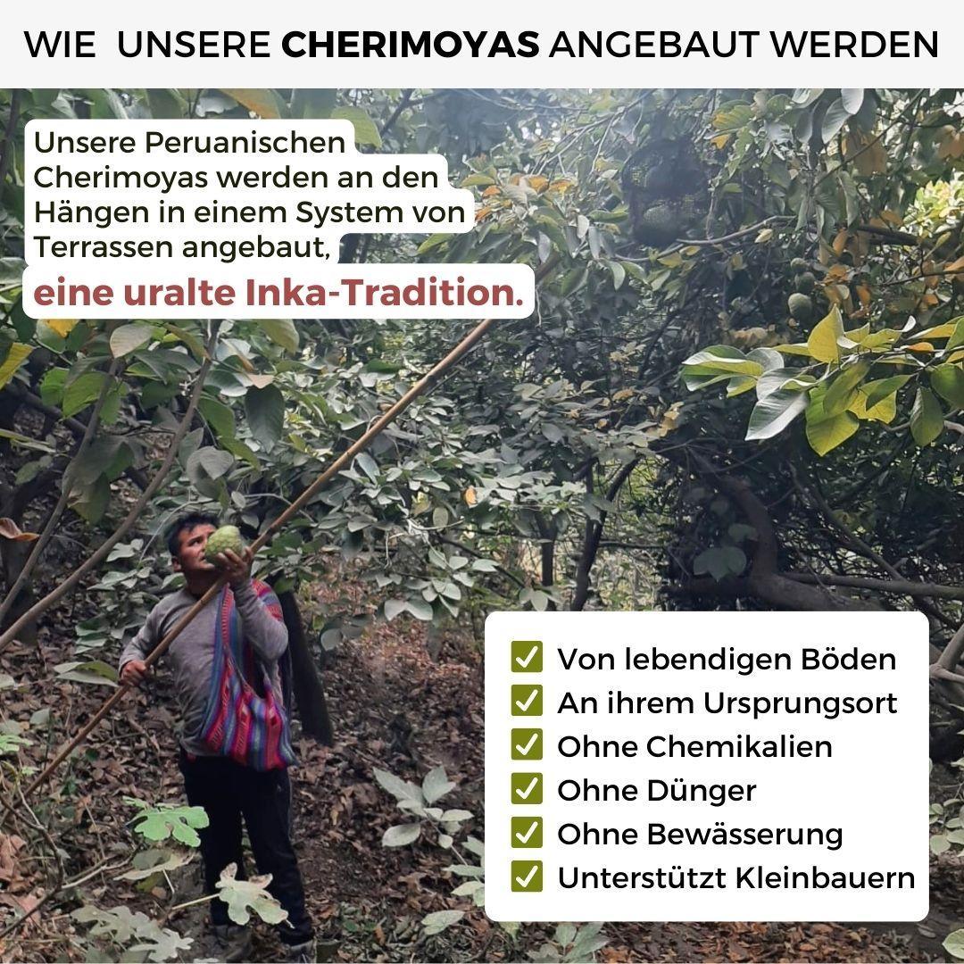 Cherimoya Extra aus Peru