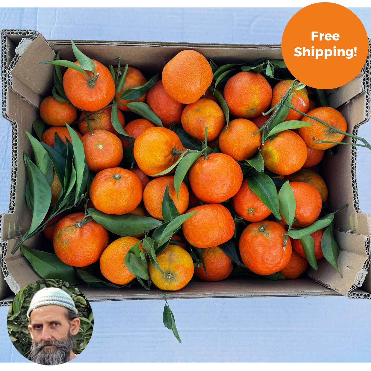Clementine