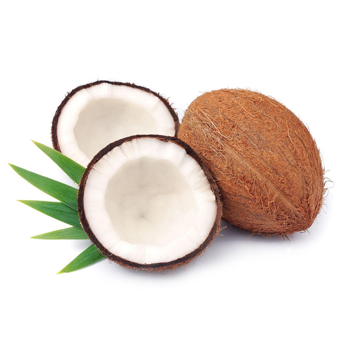 Coconut ripe