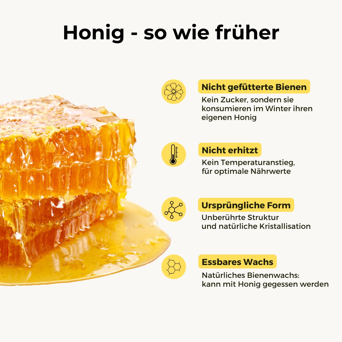 Eichen-Honig in der Wabe