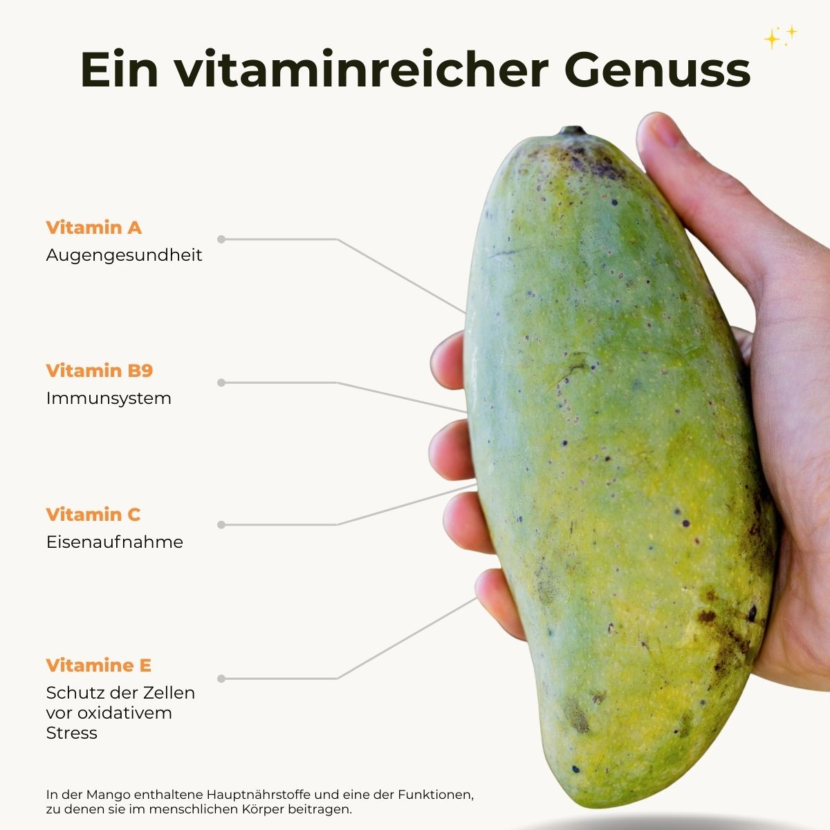 Mango Kiew Saview