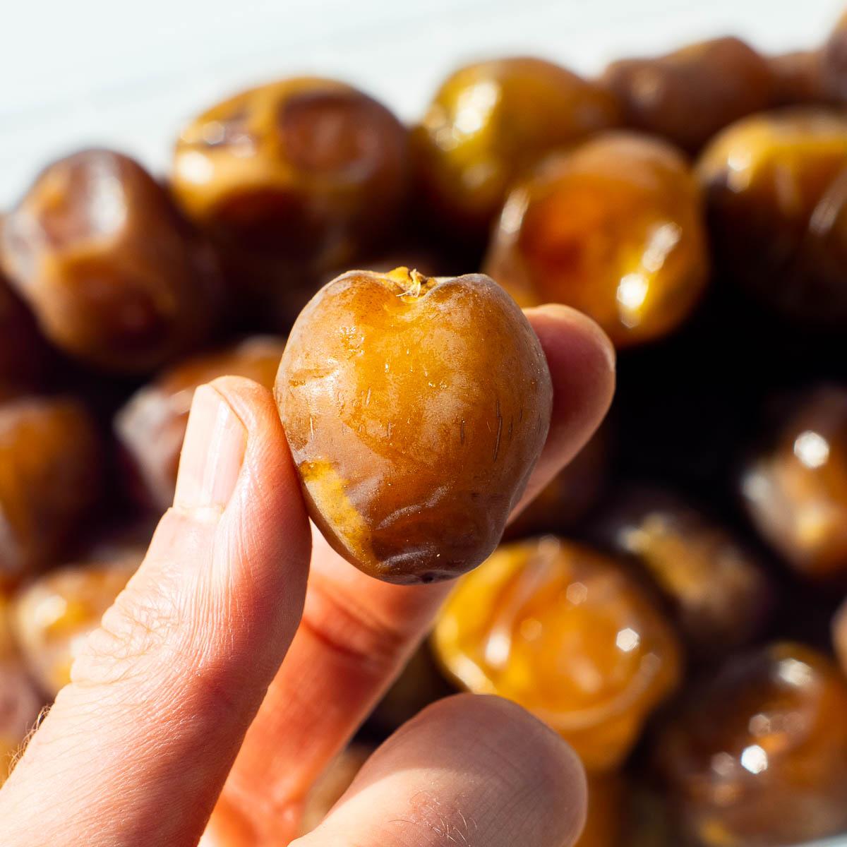 Date Barhi Gold Fresh and Juicy