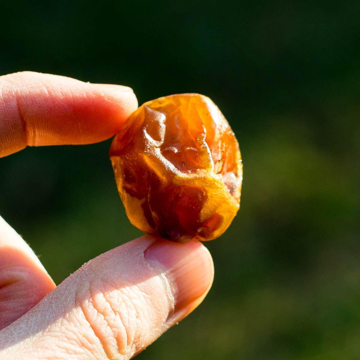 Date Barhi soft