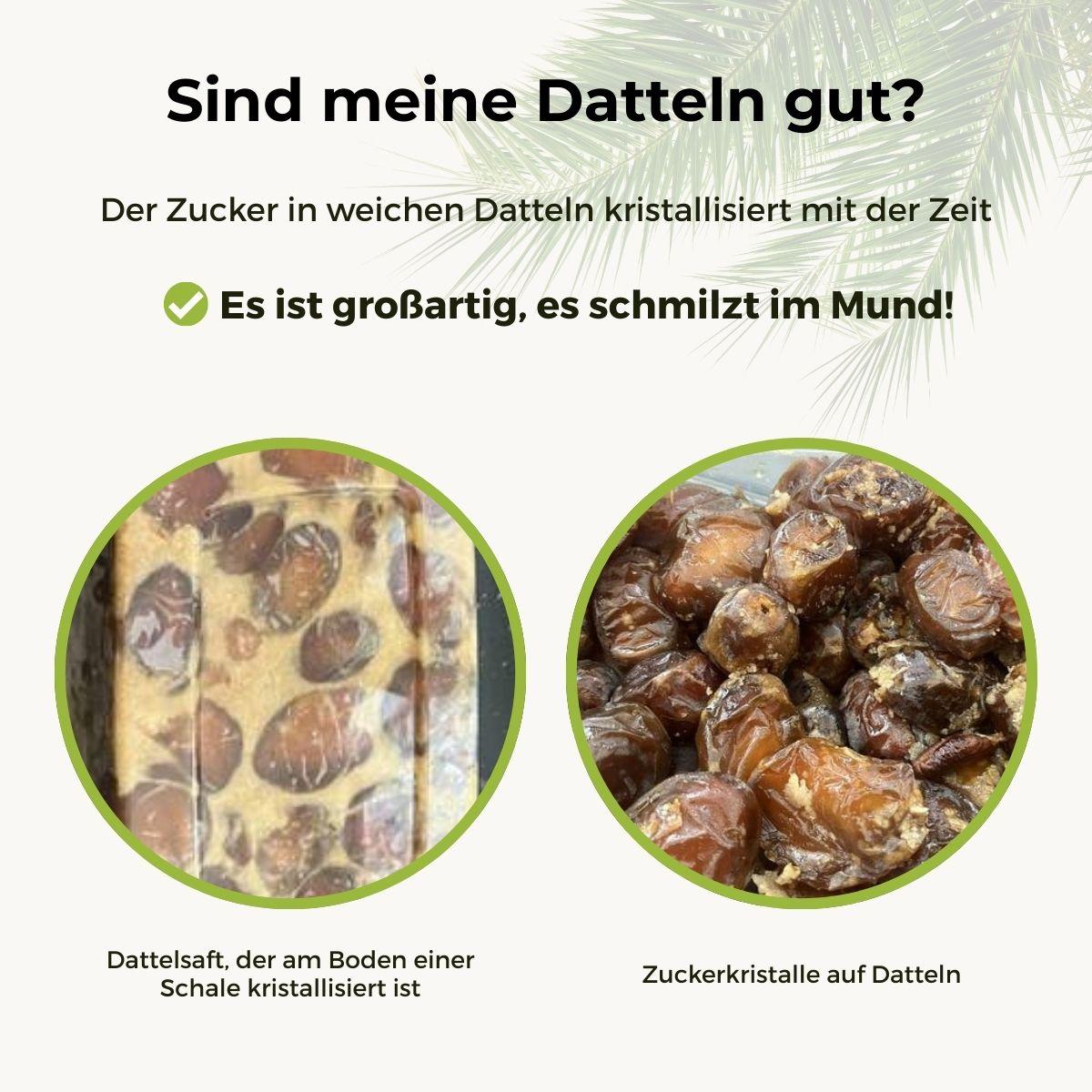 Dattel Barhi soft