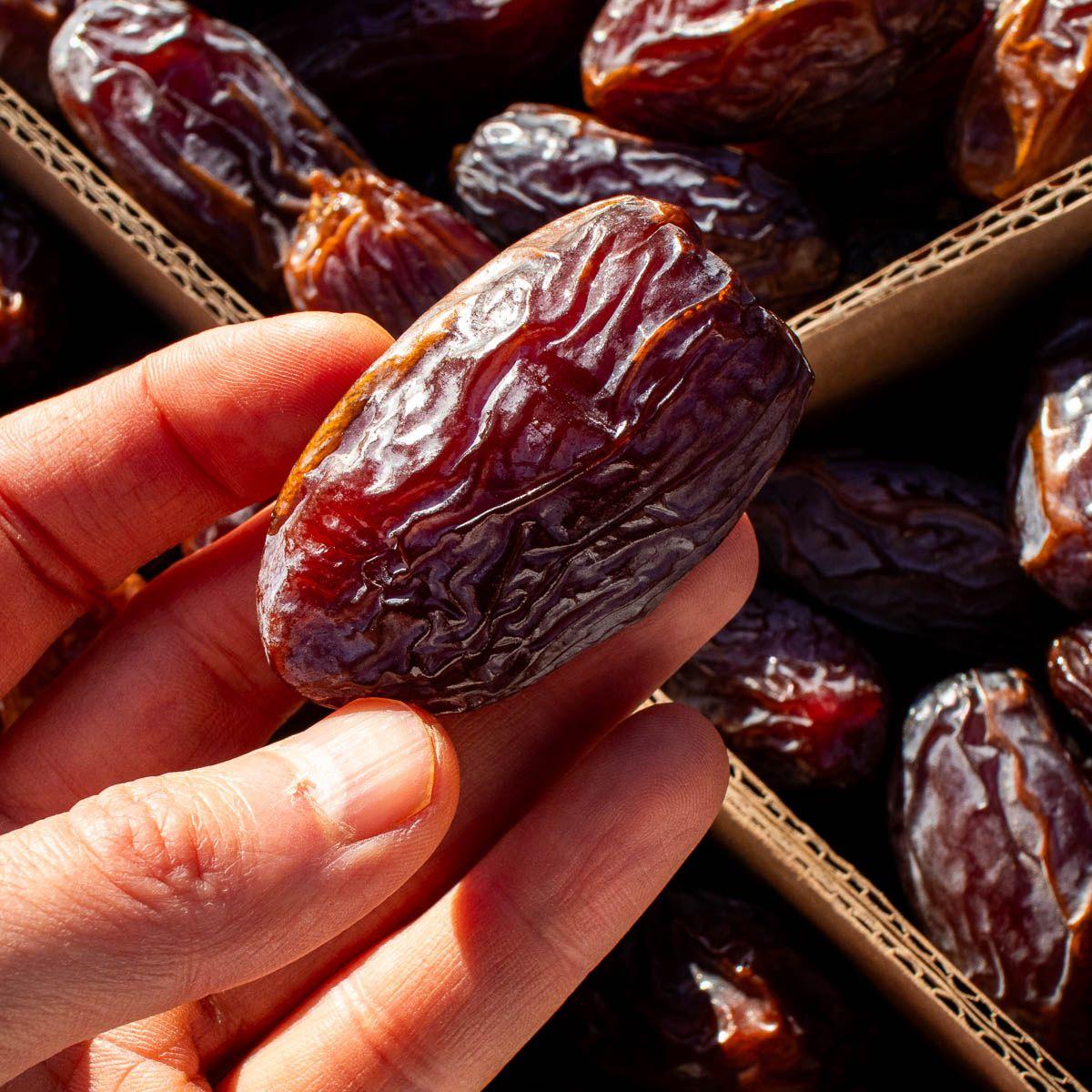 Datte Medjool Jumbo Premium