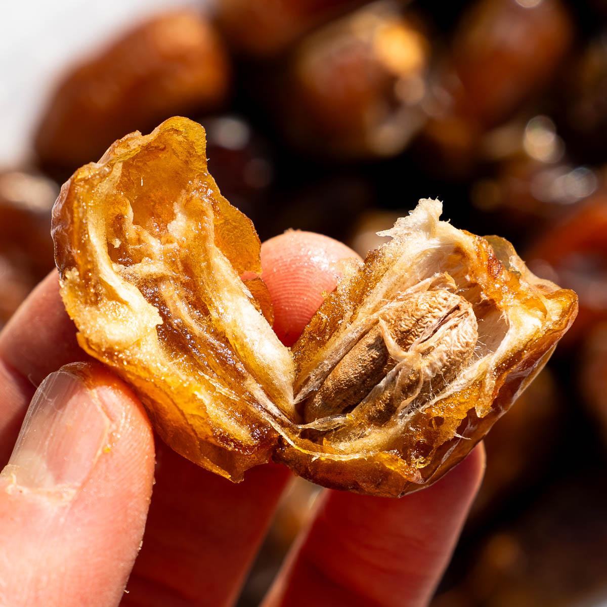 Date Misri soft