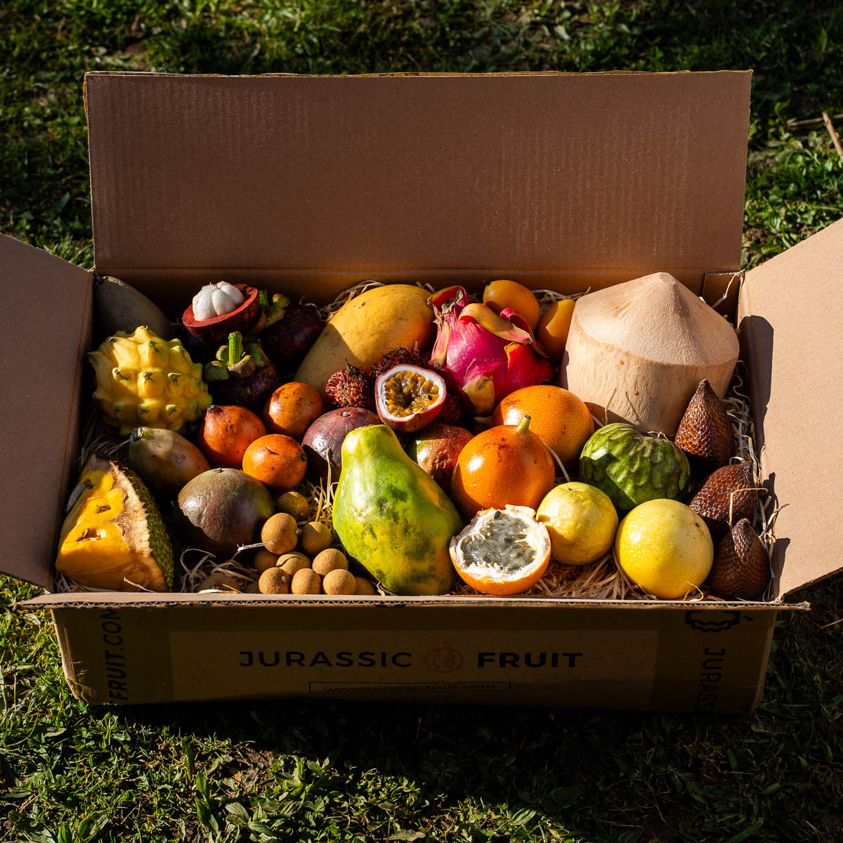 Entdeckerbox exotische Früchte