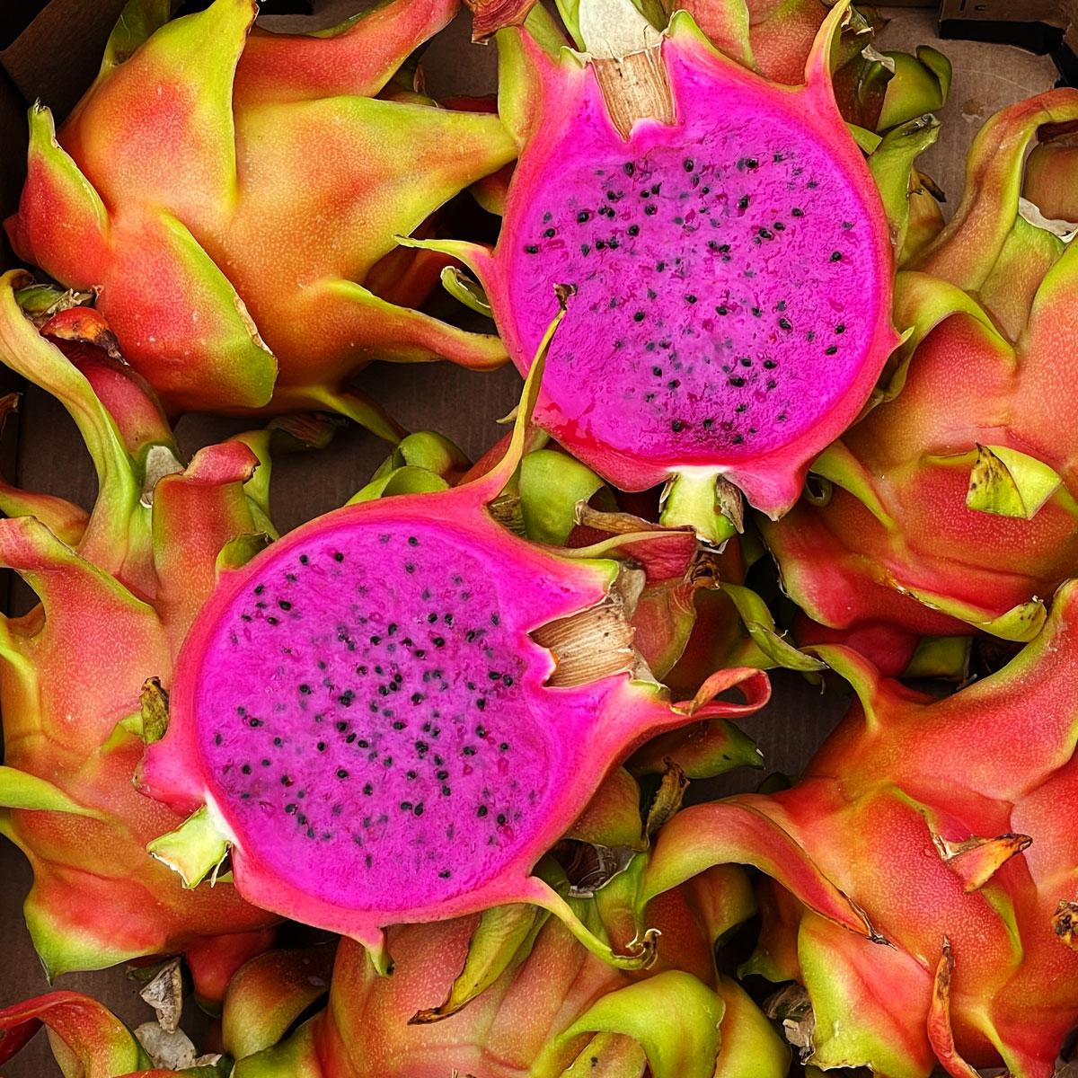 Fruit du Dragon (pitaya) rouge sucré