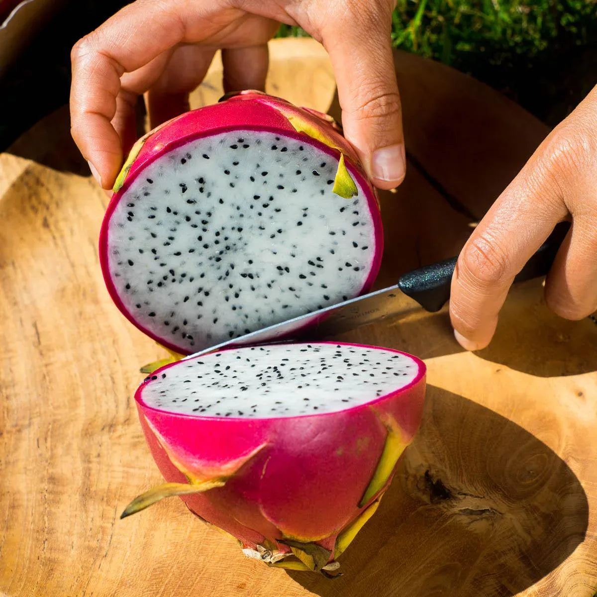 Kaufe Weiße Drachenfrucht (Pitaya blanca)