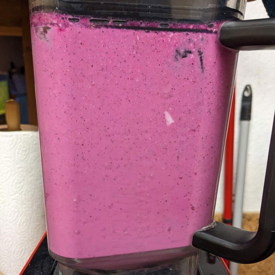 Dragon fruit red freeze dried powder