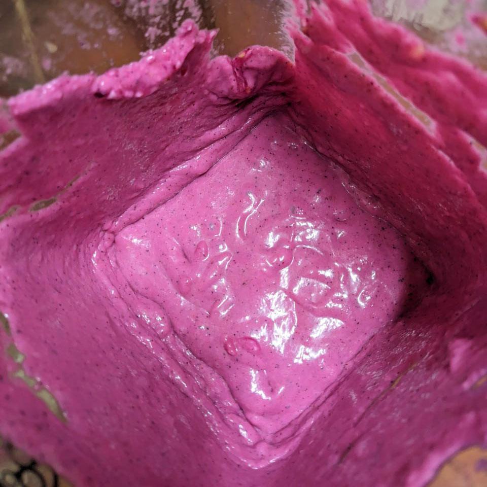 Dragon fruit red freeze dried powder