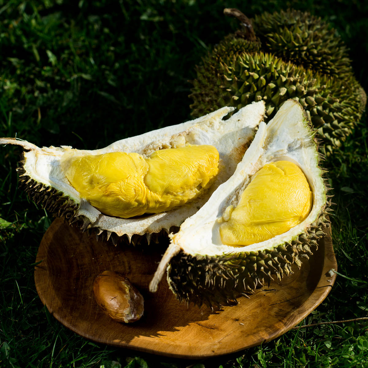 Durian Nok Yib geschält