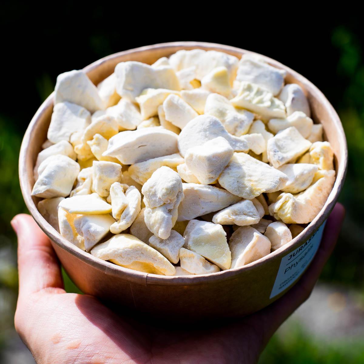 Durian Mon Thong freeze dried