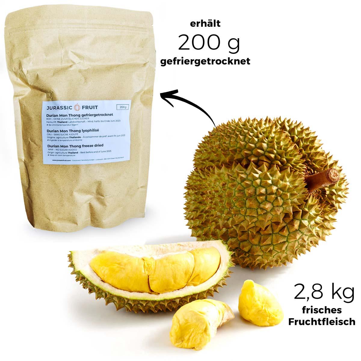 Durian Mon Thong gefriergetrocknet