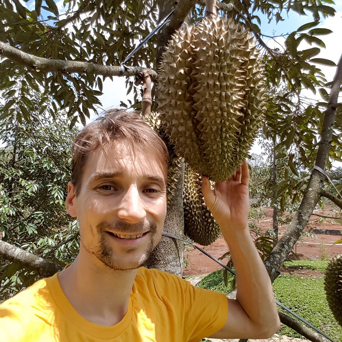 Durian Mon Thong, whole