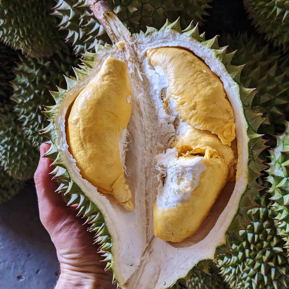 Durian Ri Sao, whole
