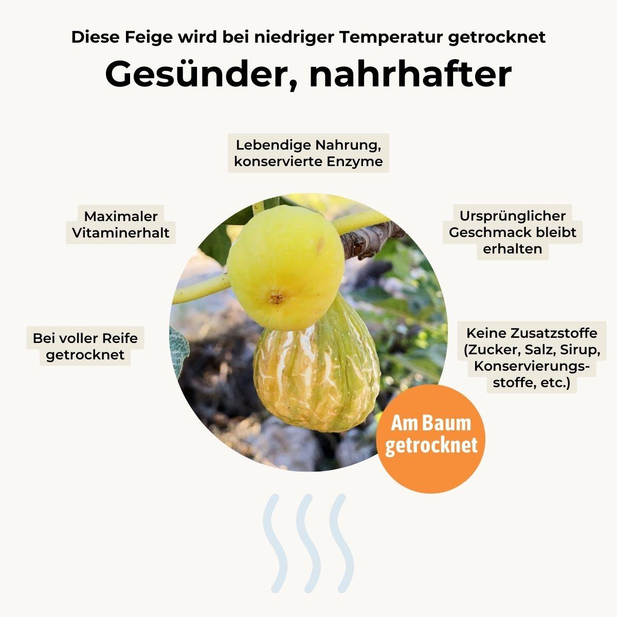 Feige weiß getrocknet
