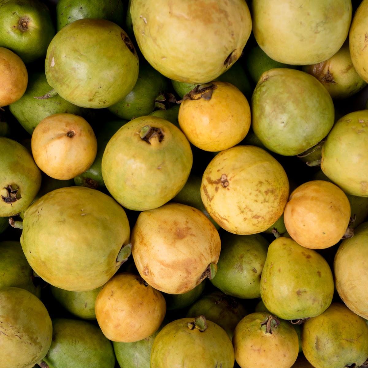 Guava