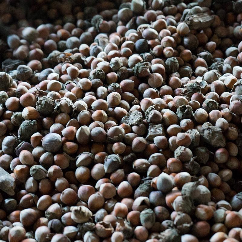 Haselnussöl Extra bio & roh