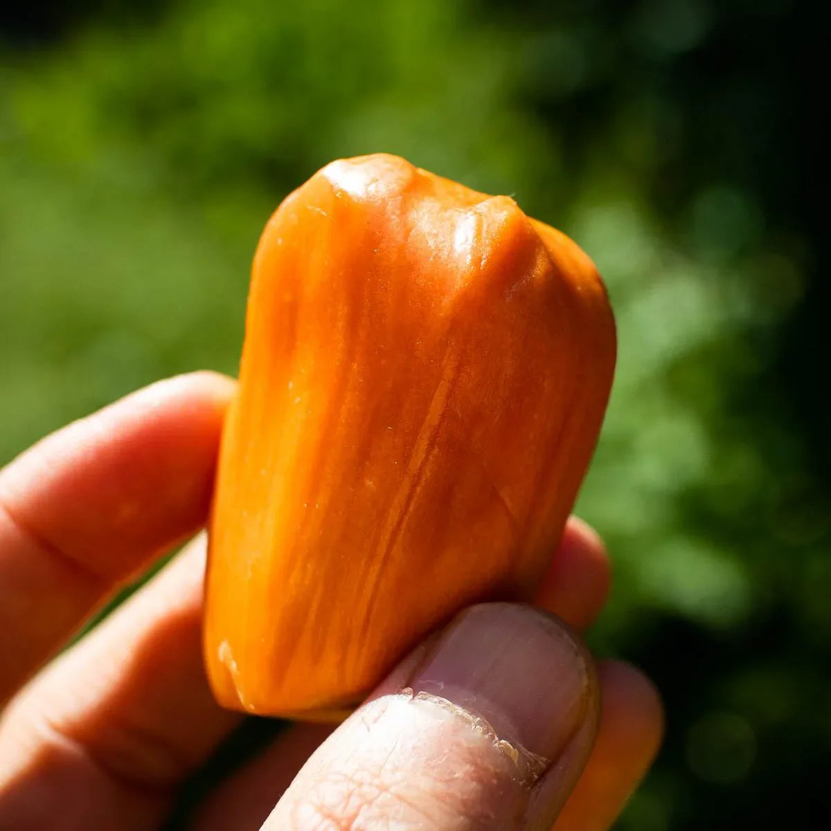 Jackfrucht rot geschält