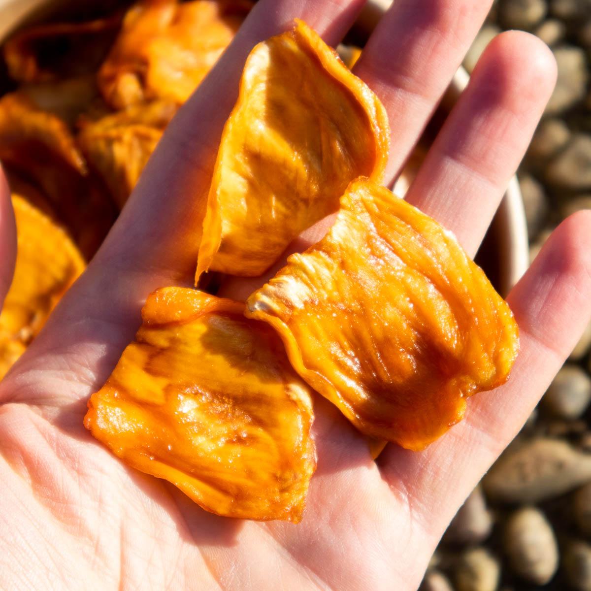 Jackfruit dried