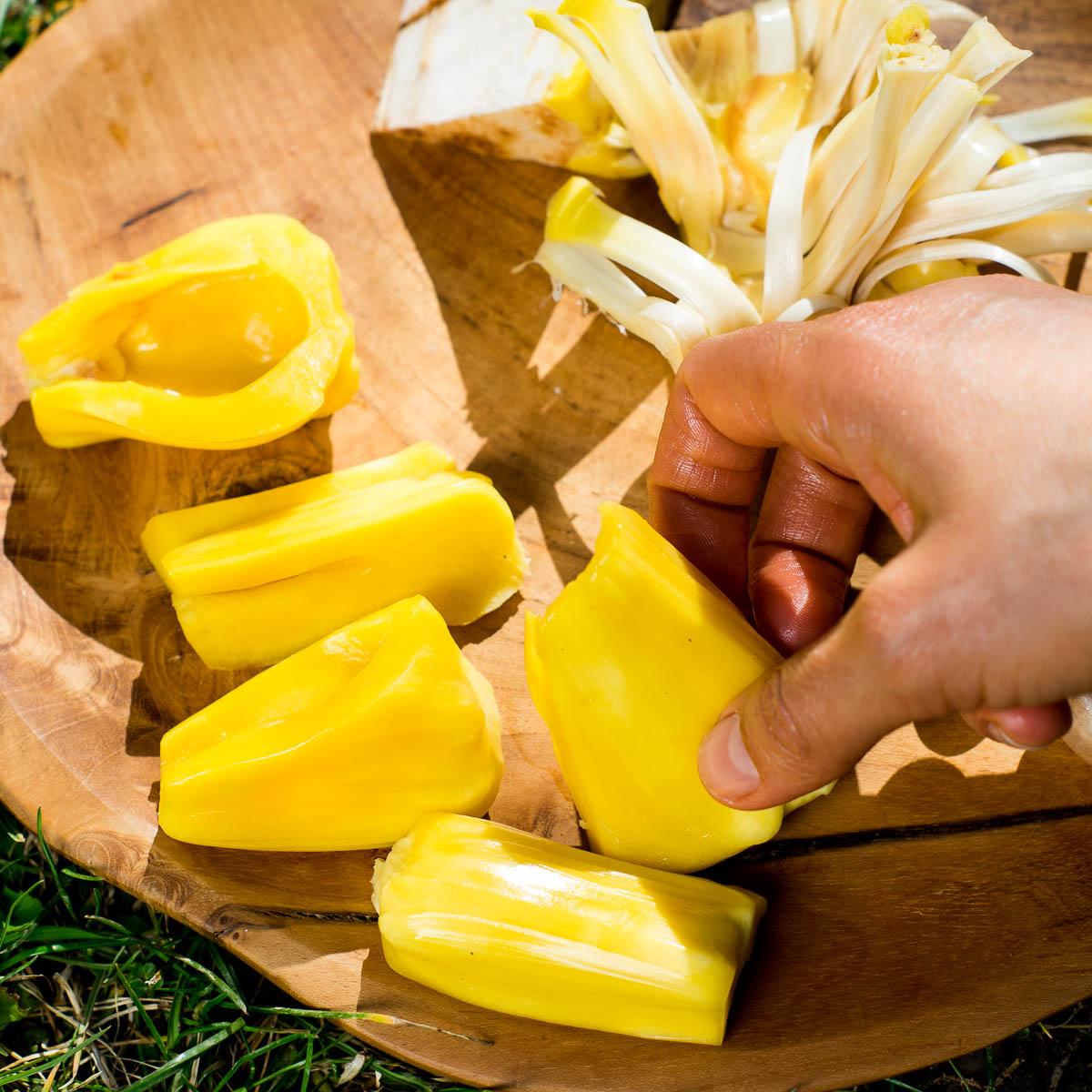 Jackfruit ripe