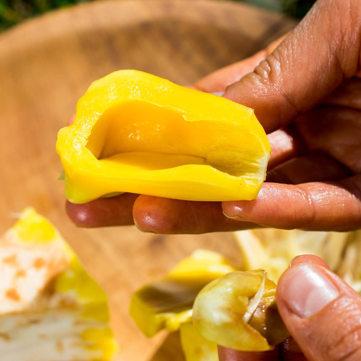 Jackfruit ripe