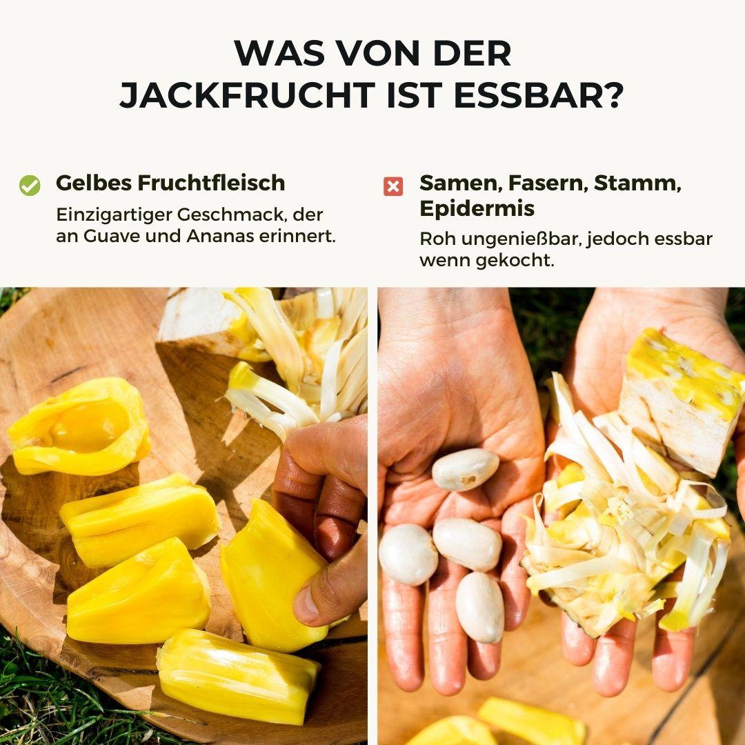 Jackfruit ripe