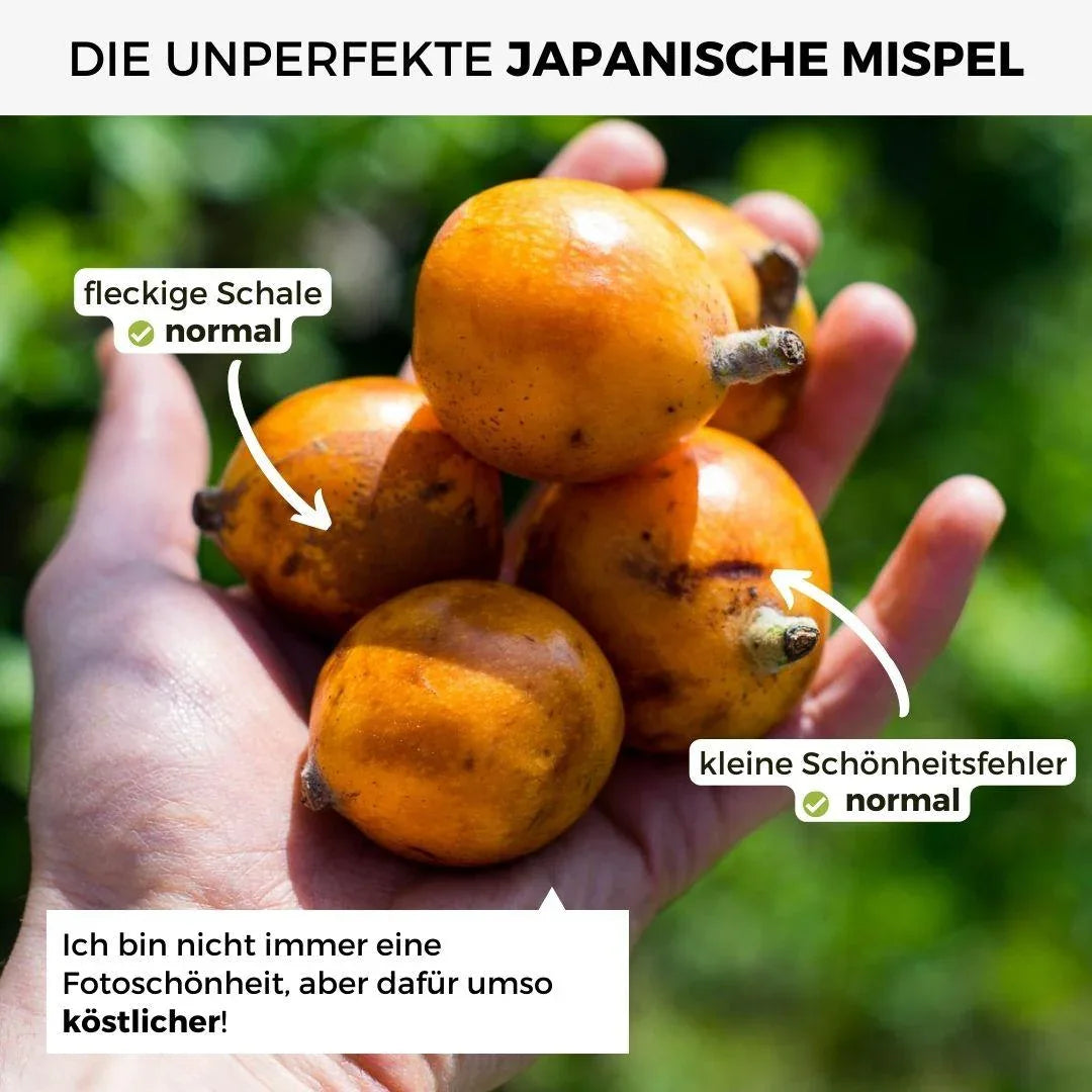 Japanische Mispel