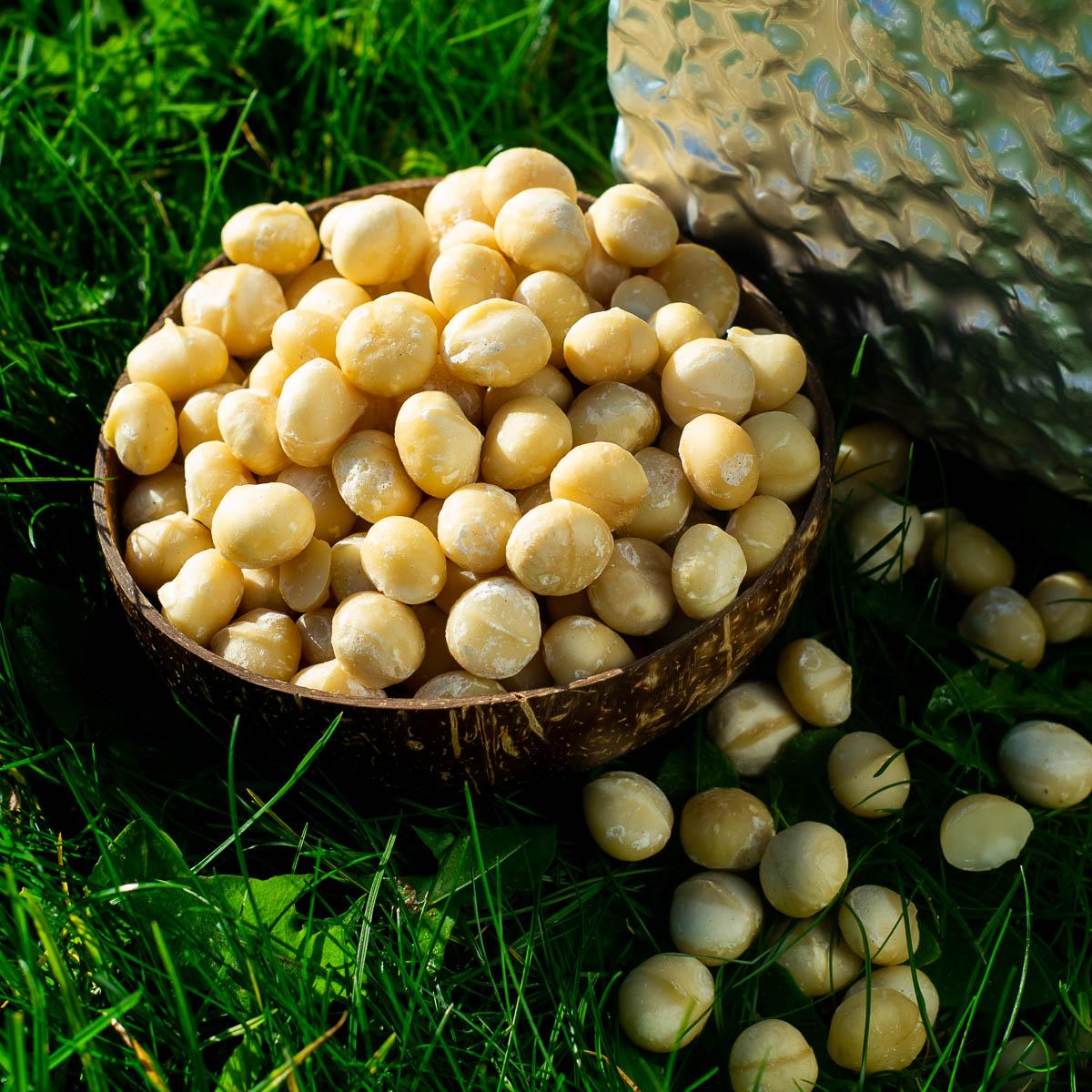 Macadamia nut