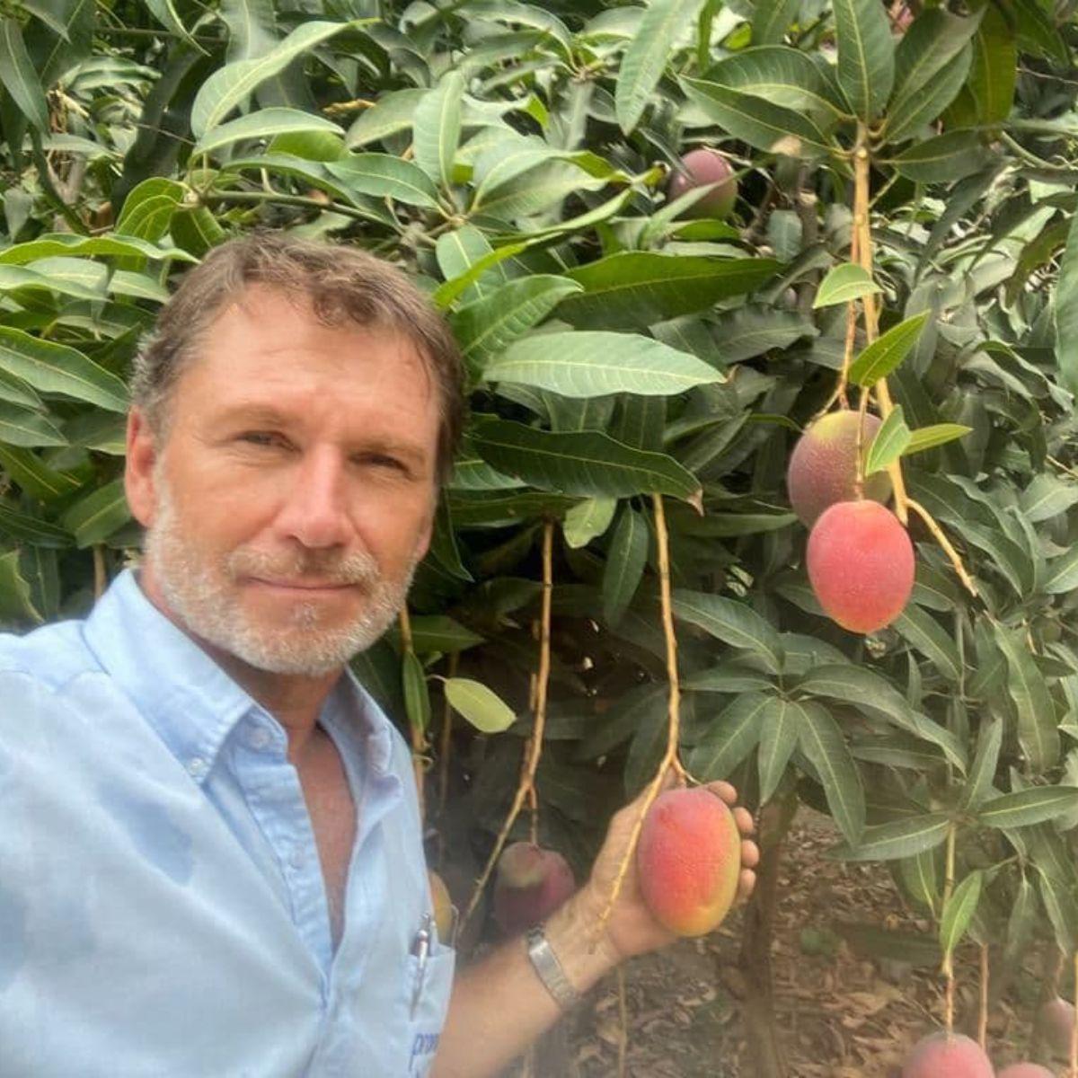 Mango Edward