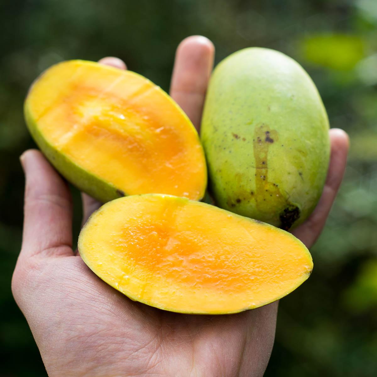 Mango Smaragd wild getrocknet in Streifen
