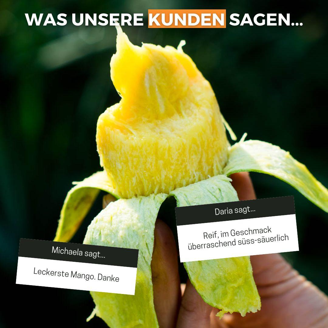 Mango Smaragd