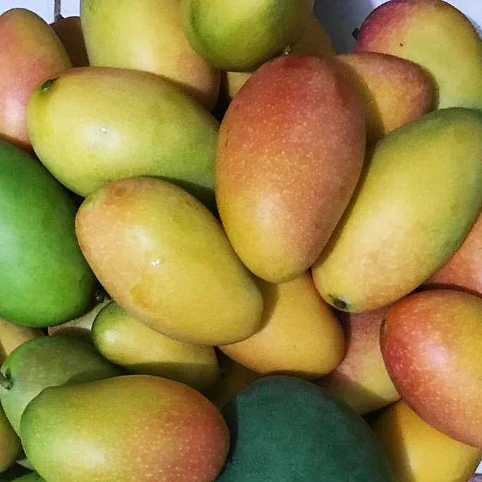 Mango Keong