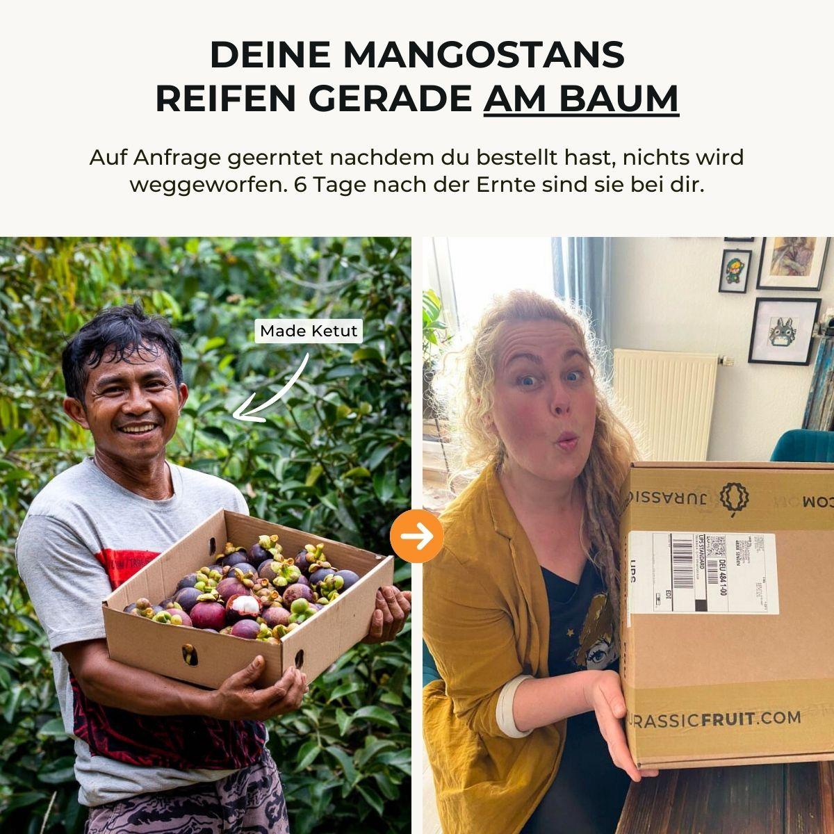 Mangosteen