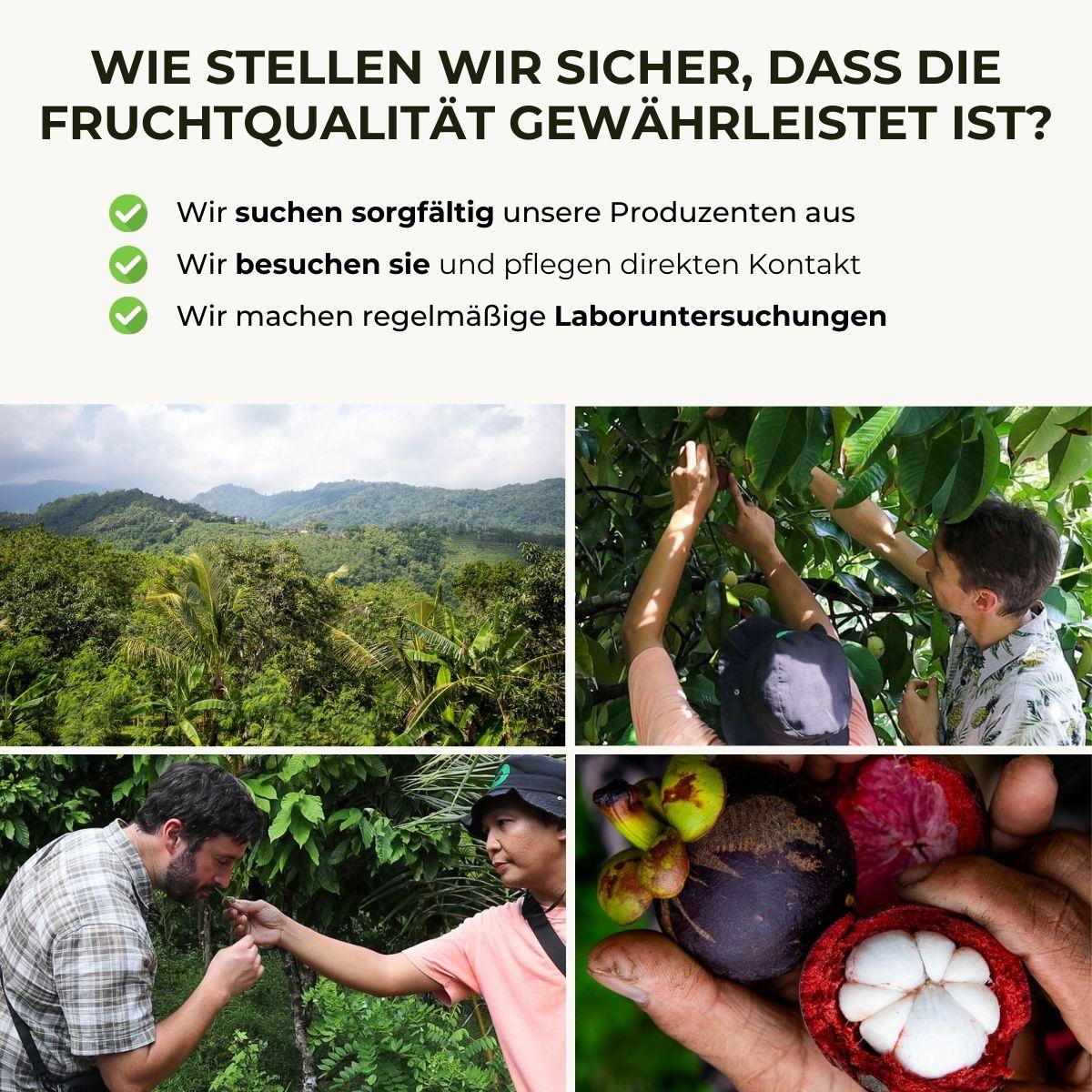 Mangosteen