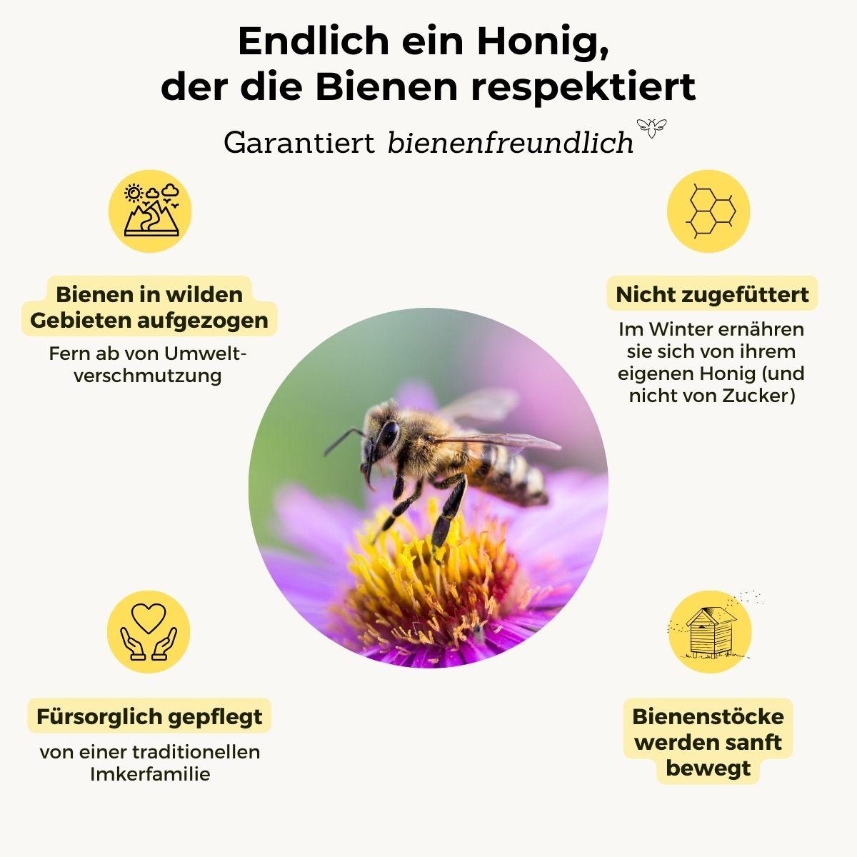 Eichen-Honig in der Wabe